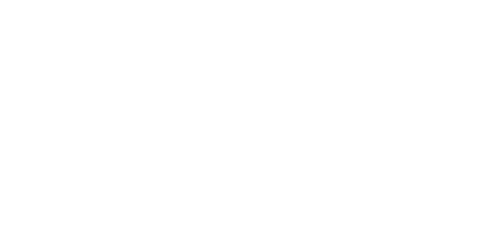 lo smıles logo footer